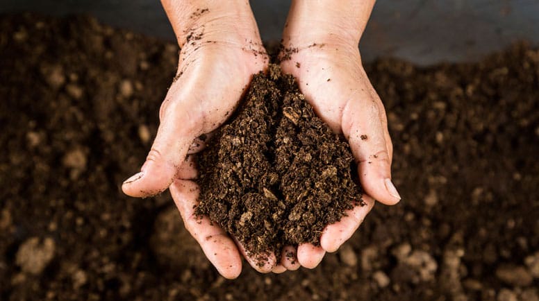 soil health