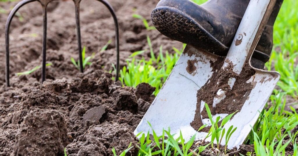 spring planting