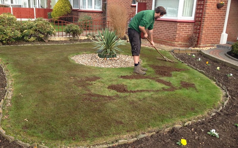 top dressing lawn