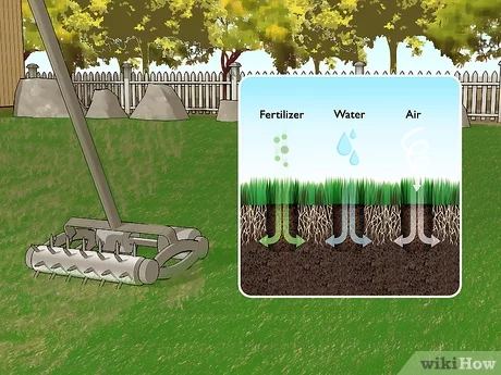 v4 460px topdress a lawn step 1.jpg