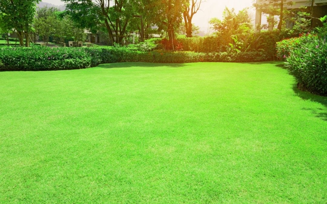 warm season bermuda grass 1080x675 1