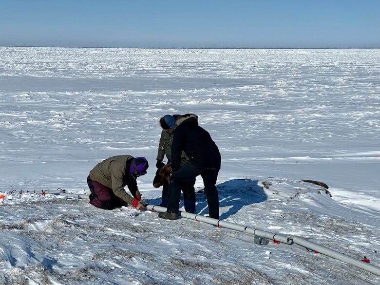 winter research