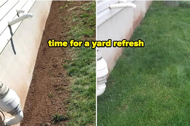 yard refresh