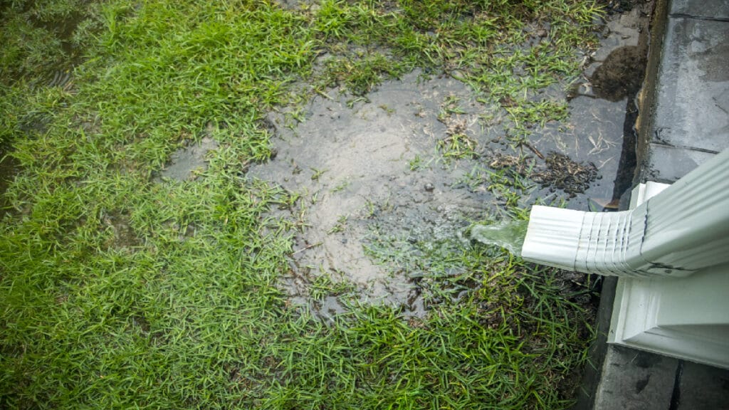 yard with rain