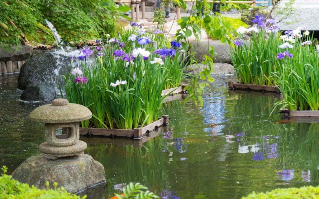 how to create a zen garden in the british climate 1080x675 1