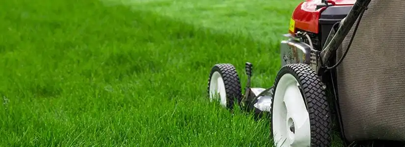 how high to mow your lawn 1