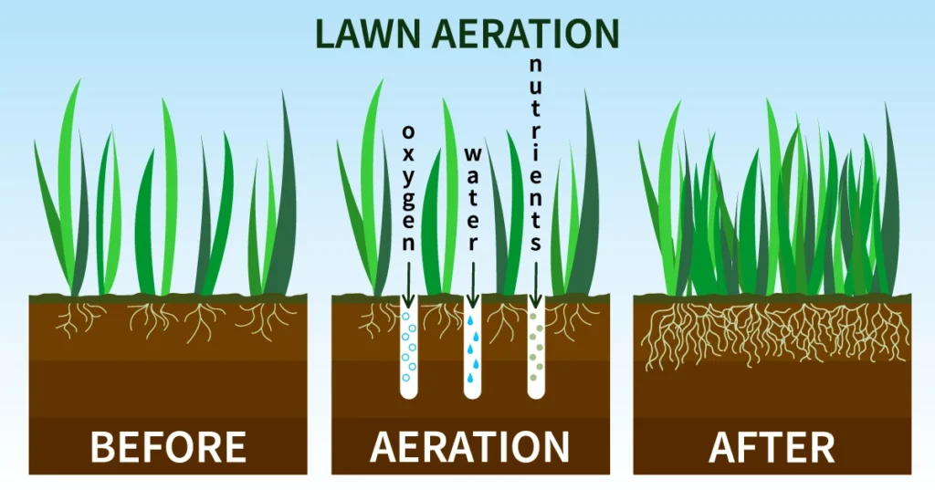 lawn aeration whens the best time