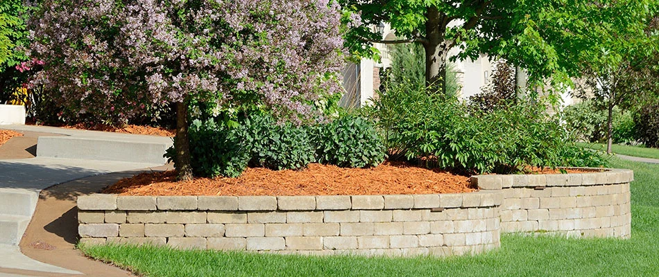 content retaining wall holding in mulch and tree