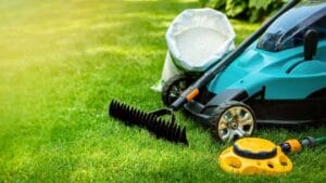 difference between lawn care and landscaping