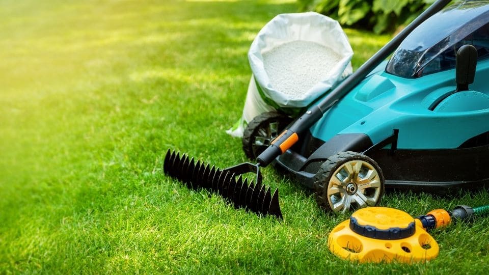 difference between lawn care and landscaping