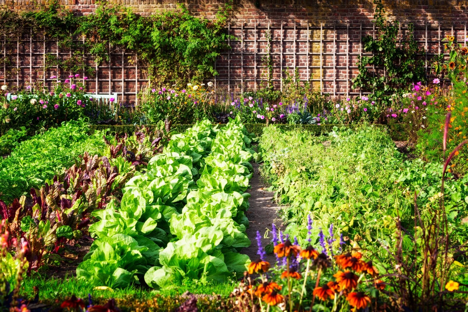 edible landscape