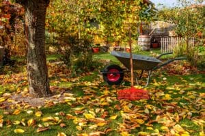 fall lawn care tips 0722 136b57f415c9441794ba22e2054c3251