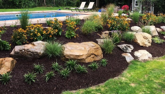 landscaping mistakes feature