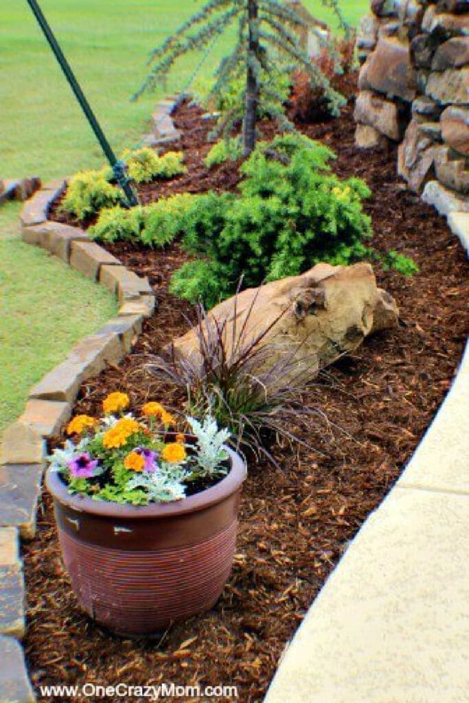 lanscaping tips 1