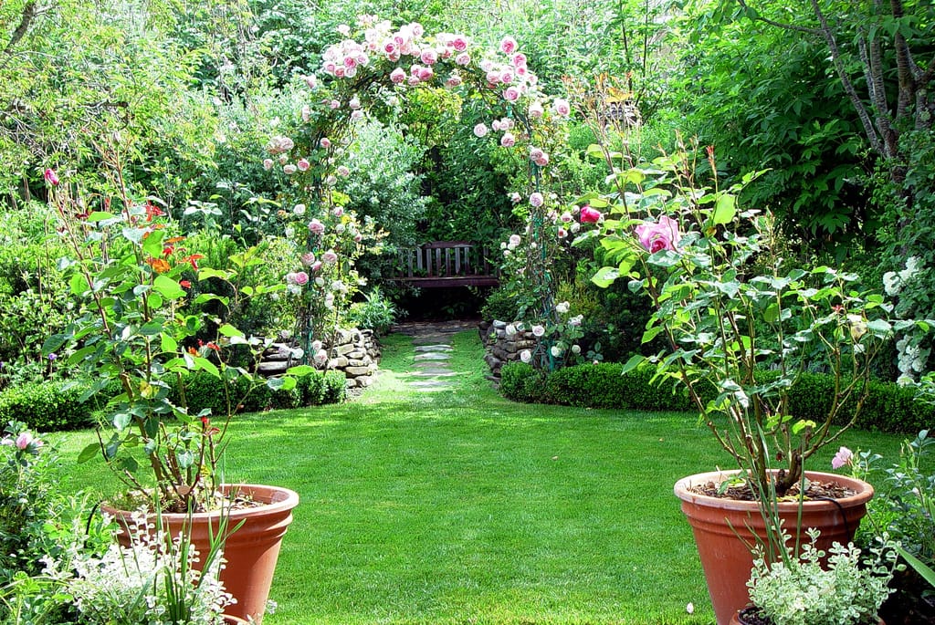 lovely garden