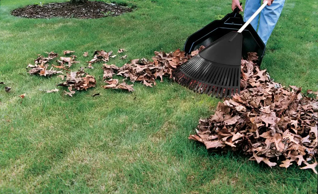 simple steps to clean up your yard step 1