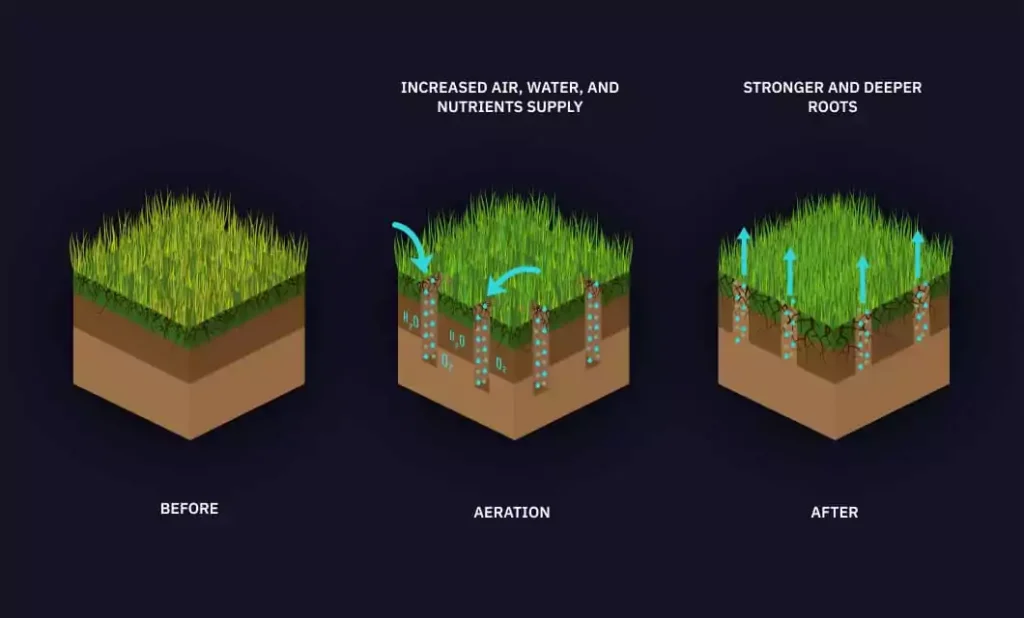 soil aeration effect.jpg