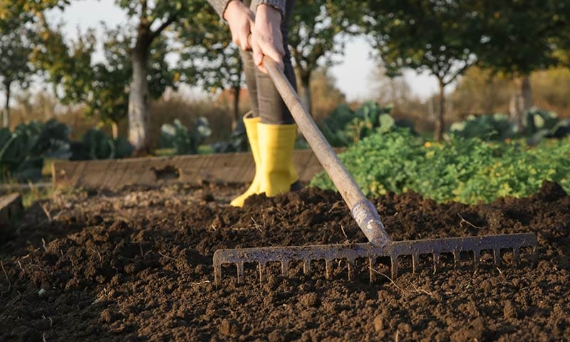 soil preparation