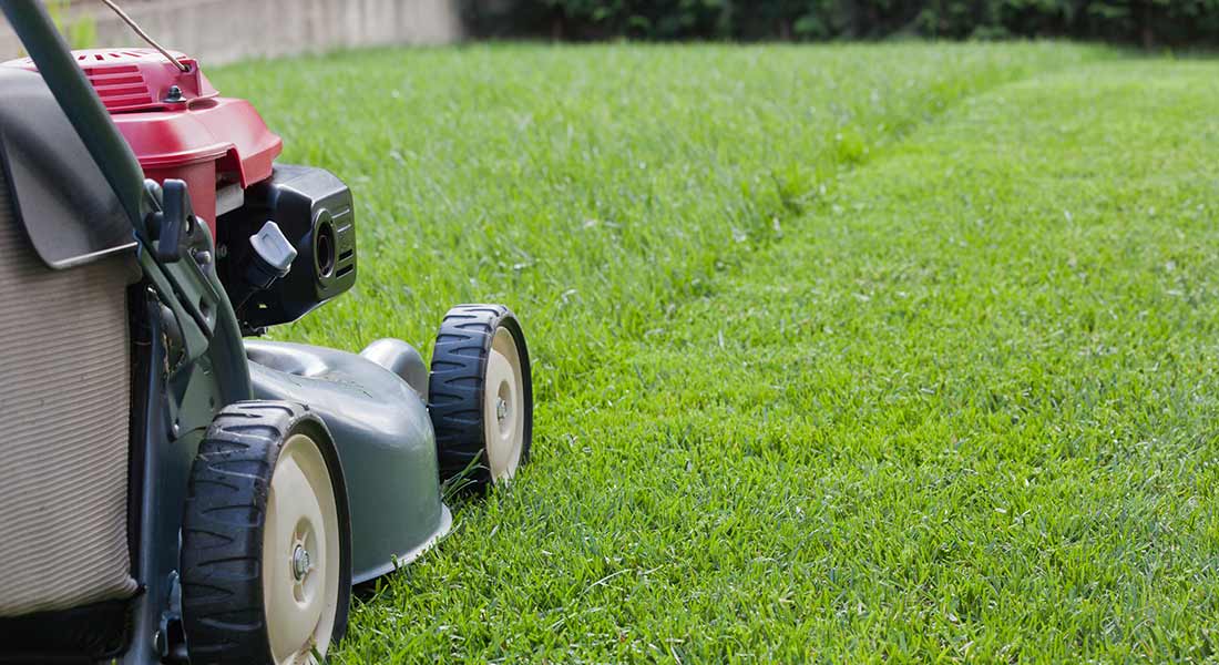 start lawn care business