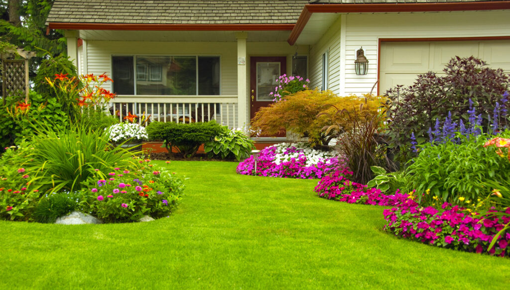 lush green lawn 1135x645 1