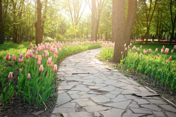 stone-pathway